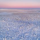 Lapland winter ocean / Lapplands Wintermeer