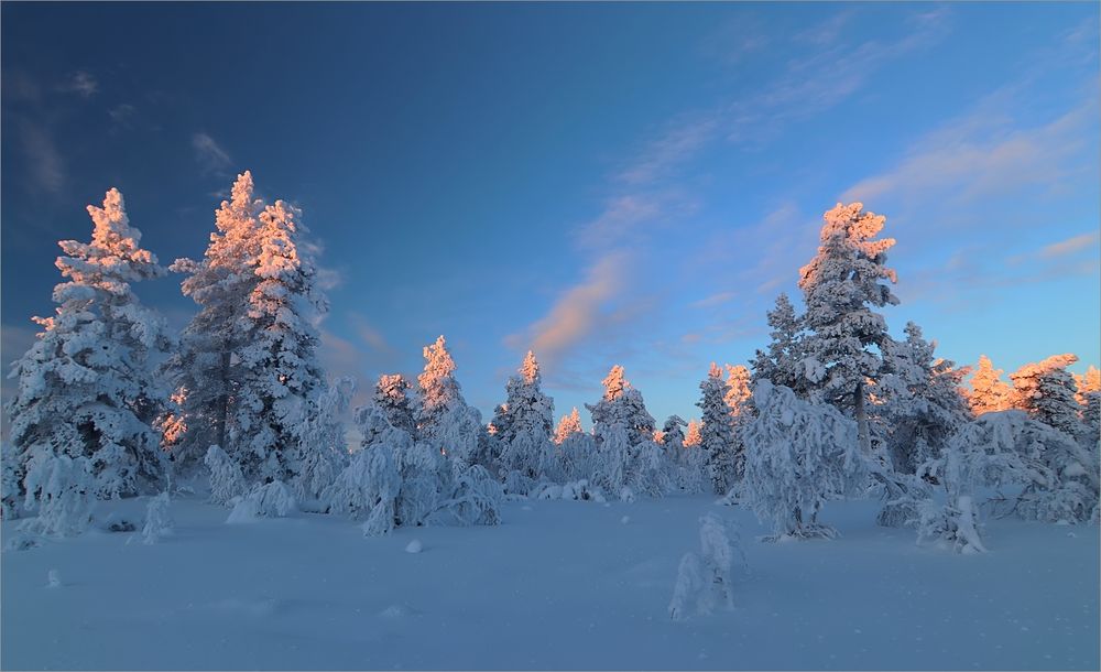 Lapland(Leuchten)