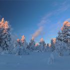 Lapland(Leuchten)