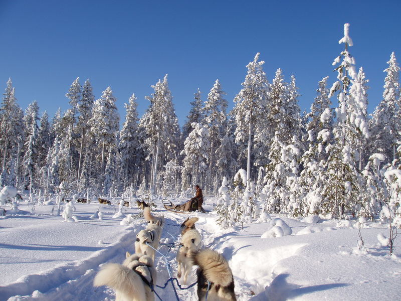 laponie finlandaise paysage