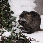 L'appétit vient en mangeant