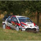 Lappi im Toyota Yaris