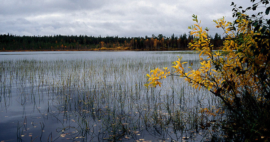 Lappland