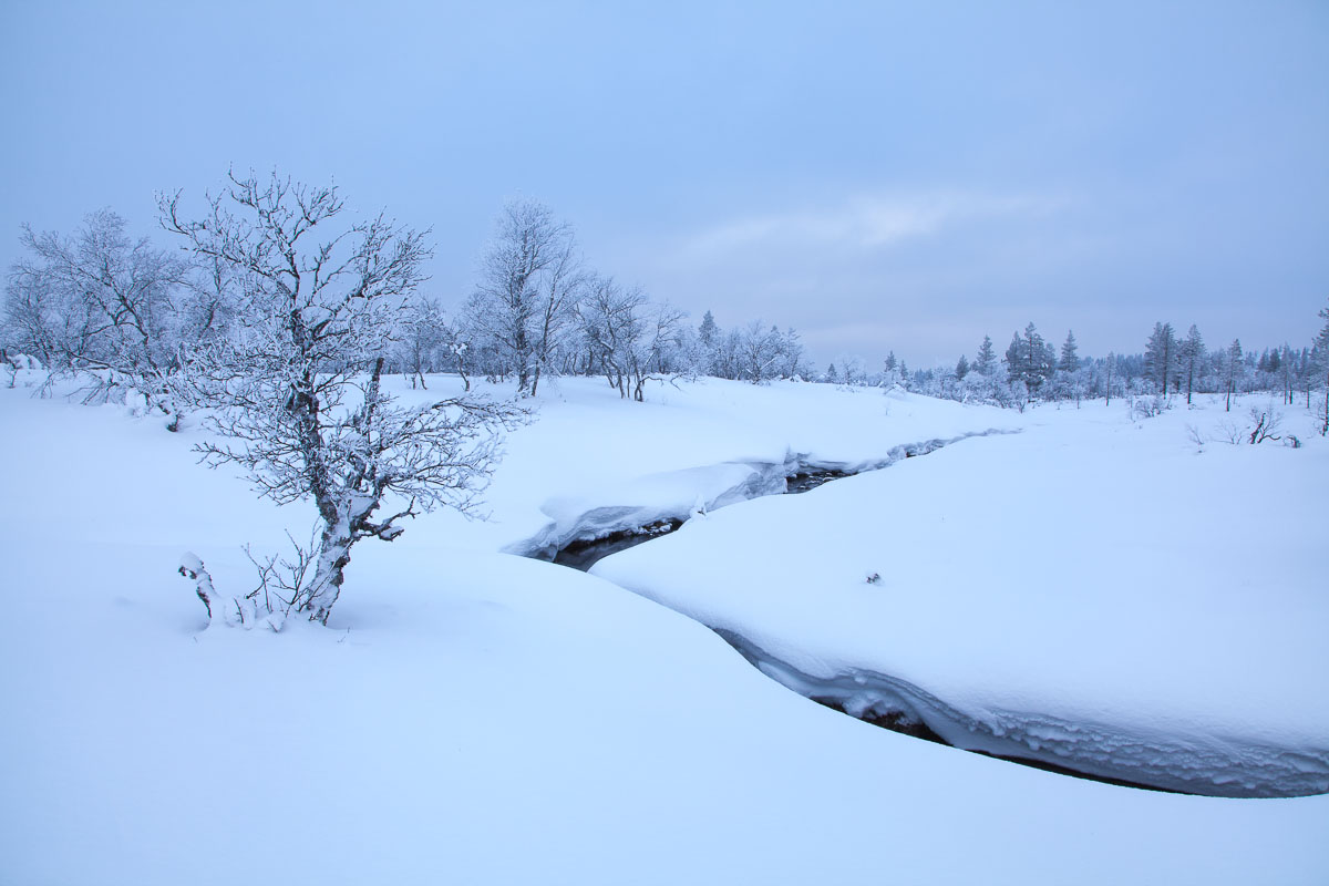 Lappland