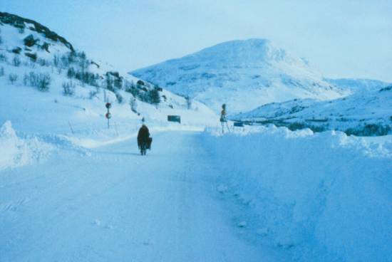 Lappland 1992