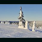 Lappland