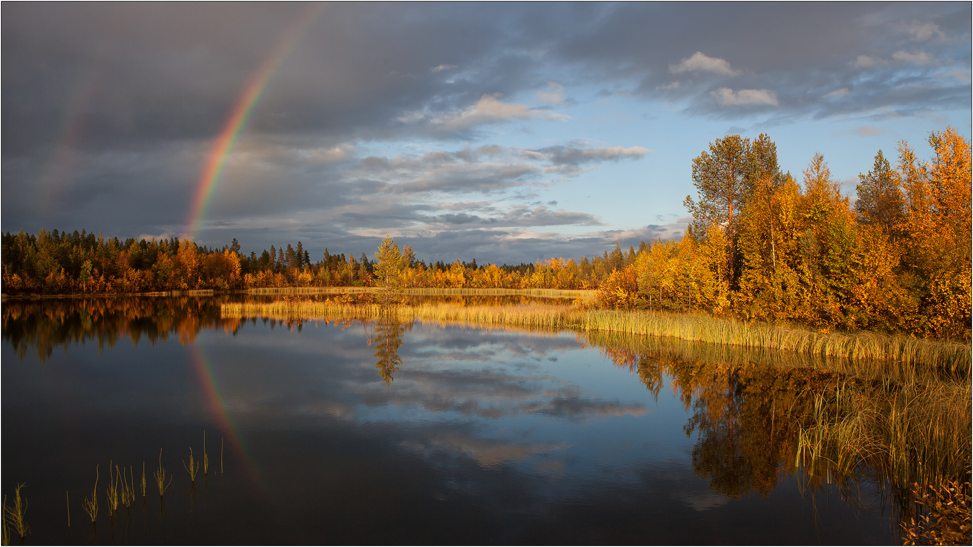 Lappland autumnus