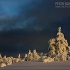 Lappland-Finnland