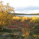 Lappland - Herbstimpression 2