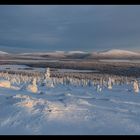 Lappland I