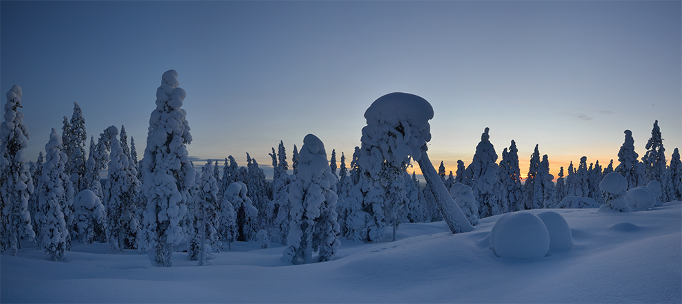 Lappland im Februar 2013