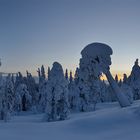 Lappland im Februar 2013