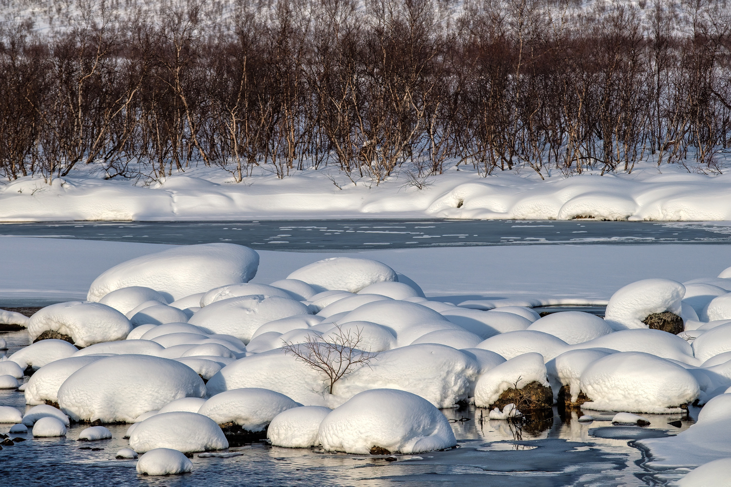 Lappland im Winter