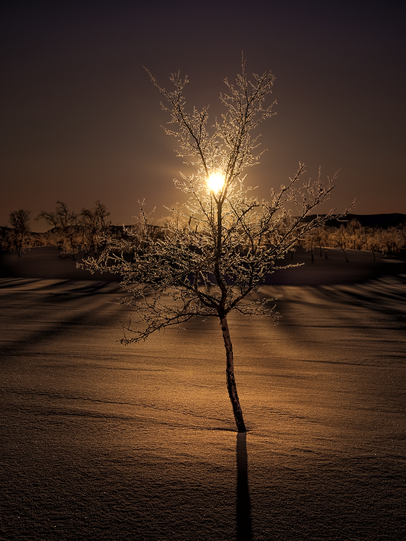 Lappland Impressionen