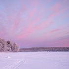 Lappland in rosa