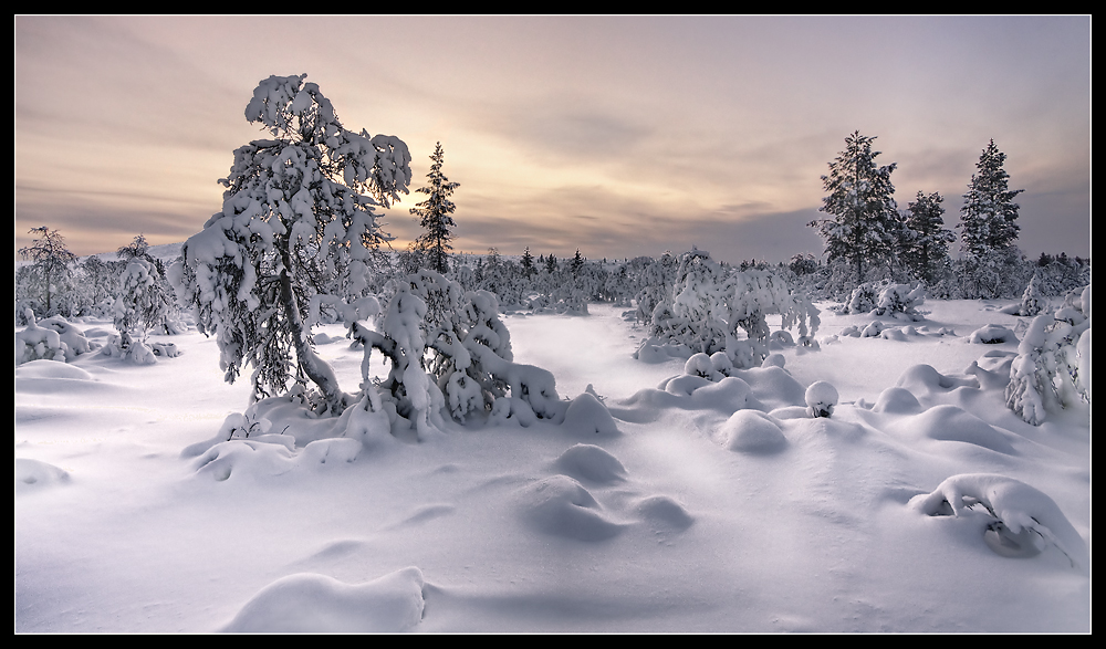 Lappland - Kiilopää II