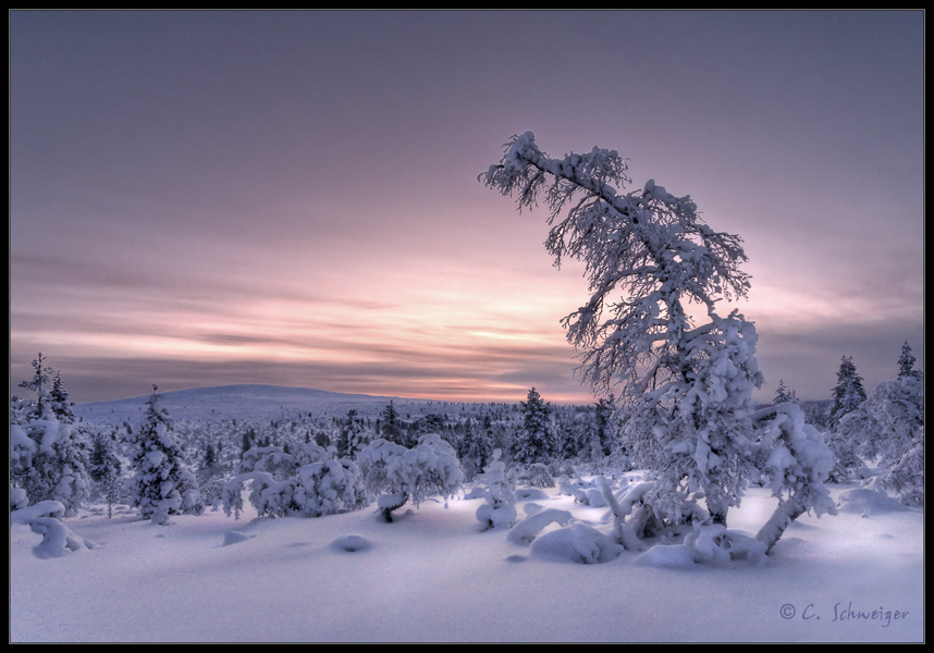 Lappland - Minus 36 Grad