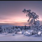 Lappland - Minus 36 Grad