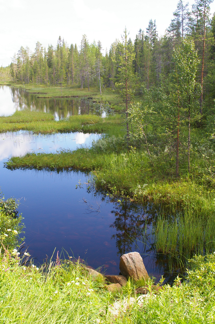 Lappland pur