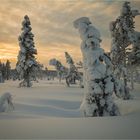 [ Lappland Sápmi...]