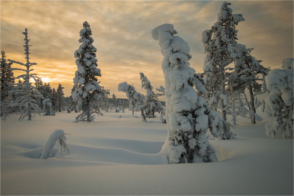 [ Lappland Sápmi...]