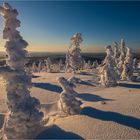 [ Lappland Sápmi @ -15°C ]