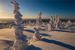 [ Lappland Sápmi @ -15°C ]