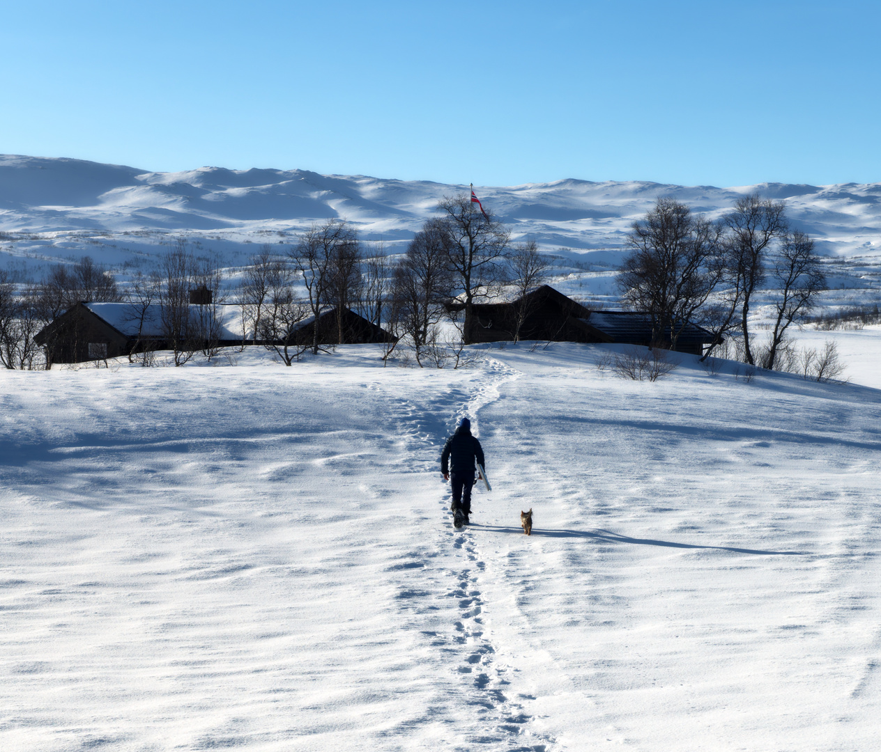 Lappland Spuren im Schnee