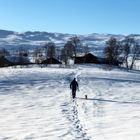 Lappland Spuren im Schnee