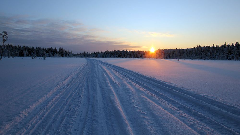 Lappland | Unterwegs auf Hundeschlittentour ...