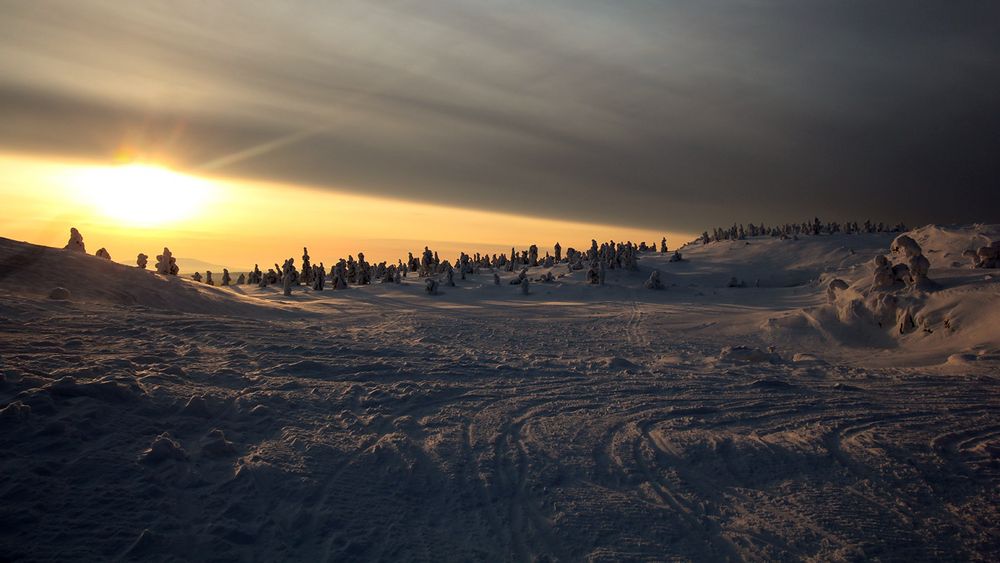 Lappland | Unterwegs auf Hundeschlittentour ......