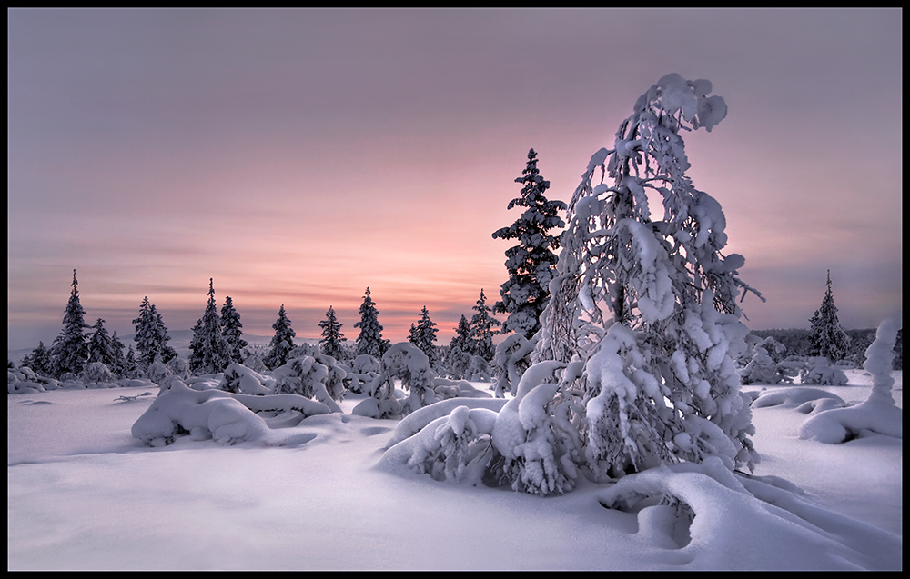 Lappland - Winterwelt