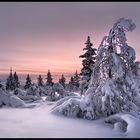 Lappland - Winterwelt