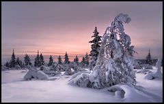 Lappland - Winterwelt