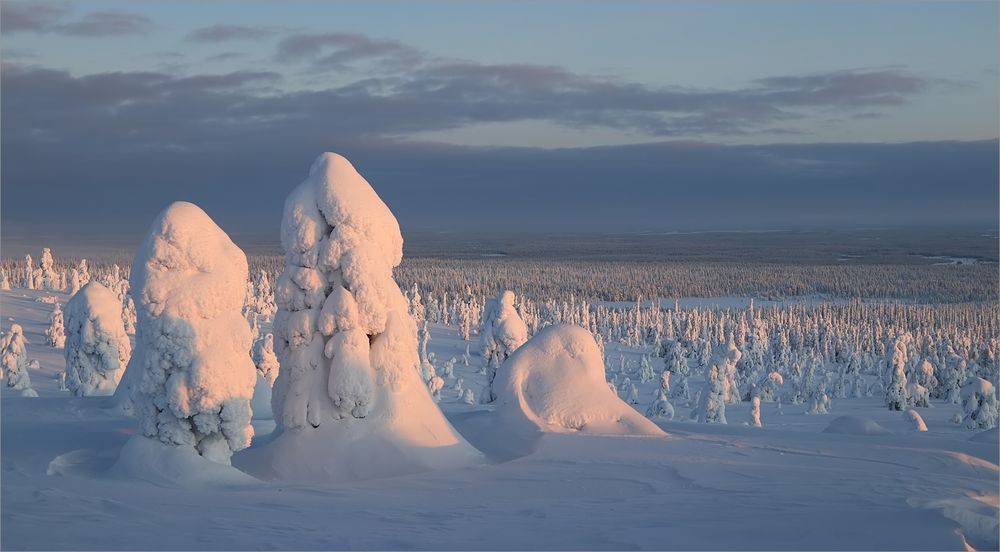 Lapplandblicke