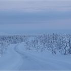 Lapplands hohe Norden