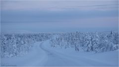 Lapplands hohe Norden