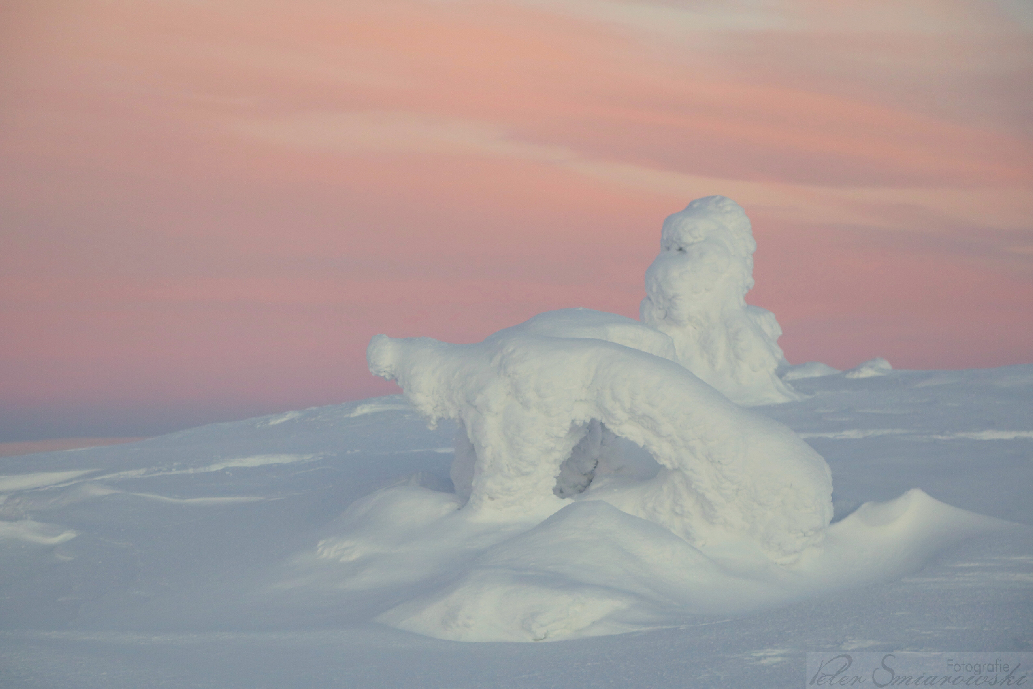 Lapplands Natur Skulptur