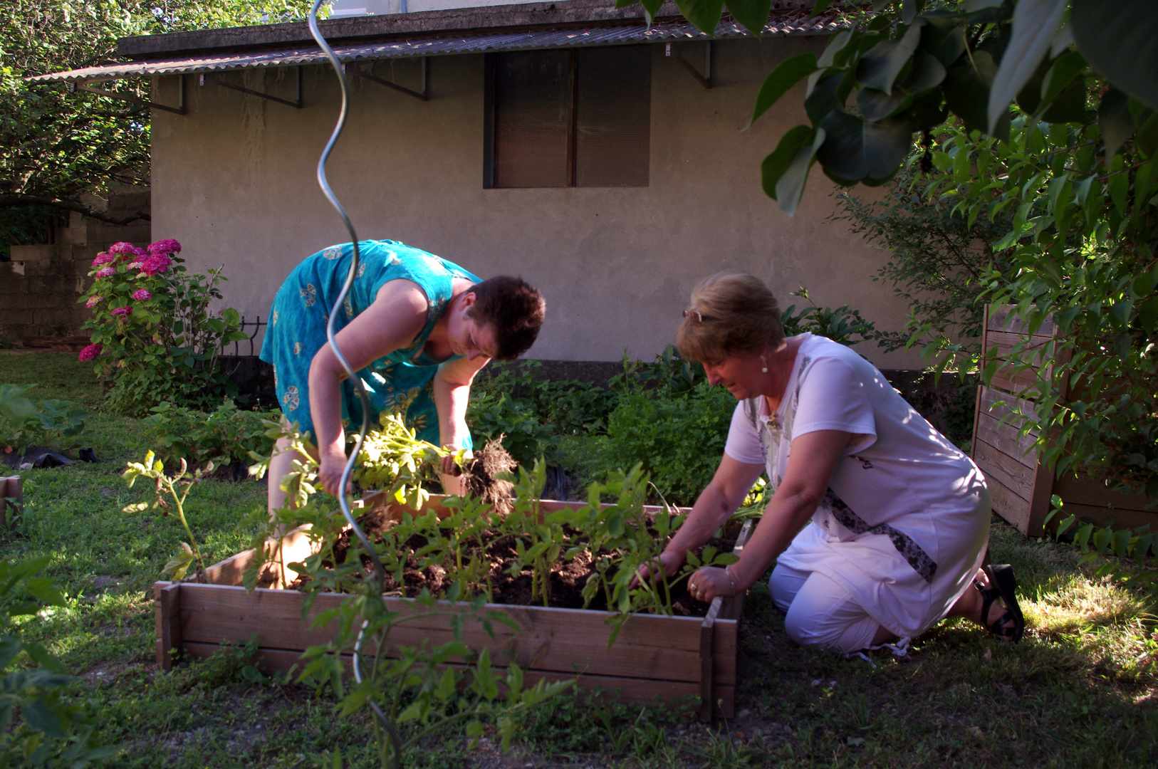 l'Aprentie jardinière ....