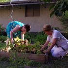 l'Aprentie jardinière ....