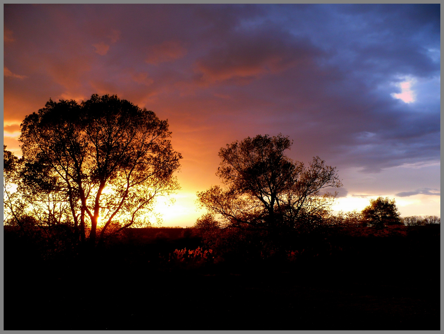 L'aquarelle d'un soir ...