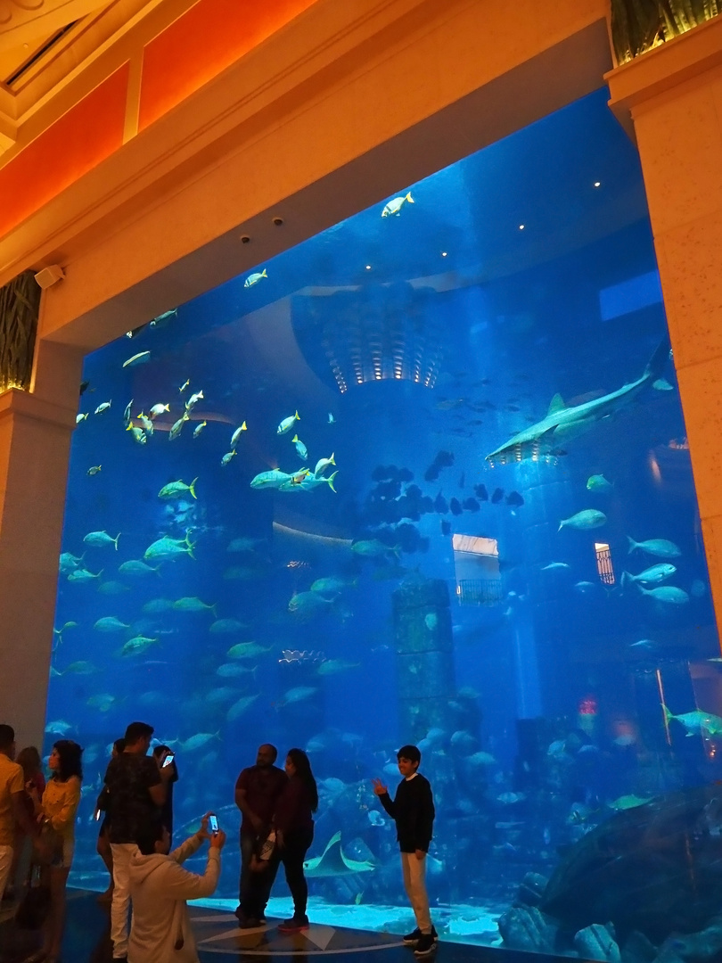 L’aquarium dans le hall de l’Hôtel Atlantis