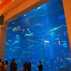 L’aquarium dans le hall de l’Hôtel Atlantis