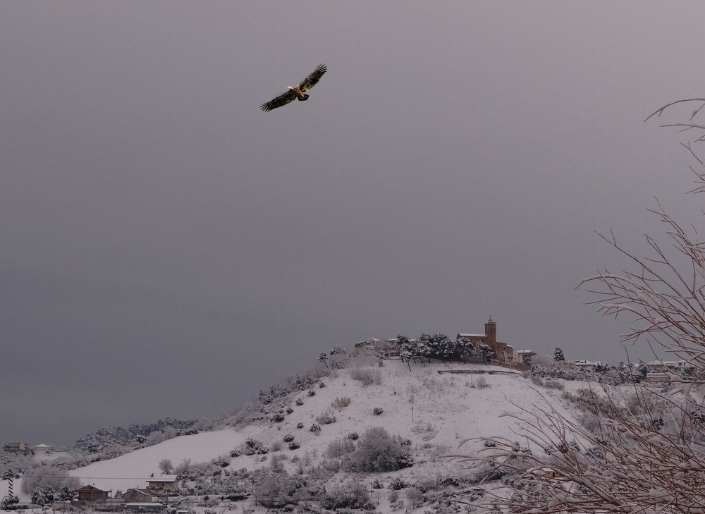 l'aquila d'abruzzo.......