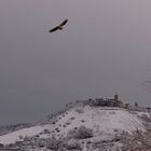 l'aquila d'abruzzo.......