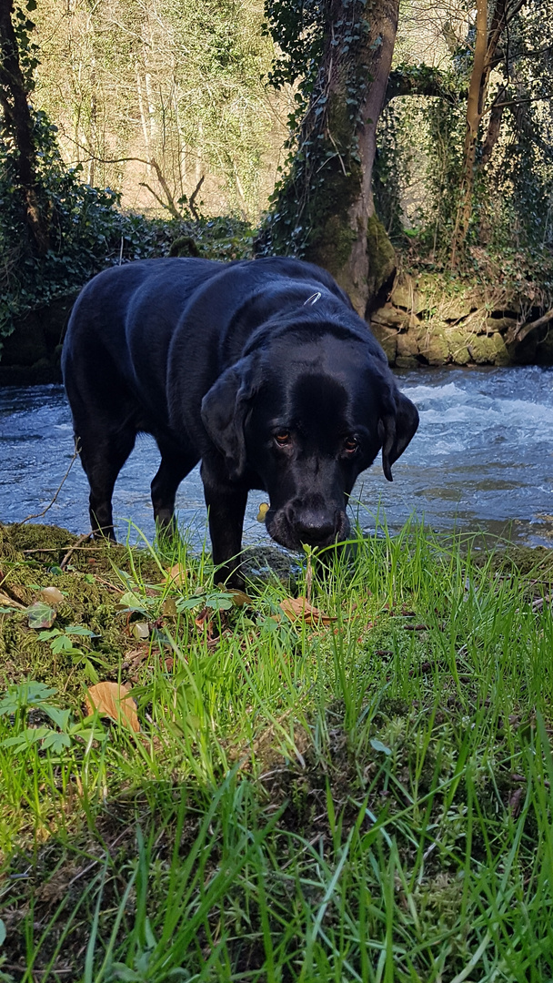 Lara am Flußufer