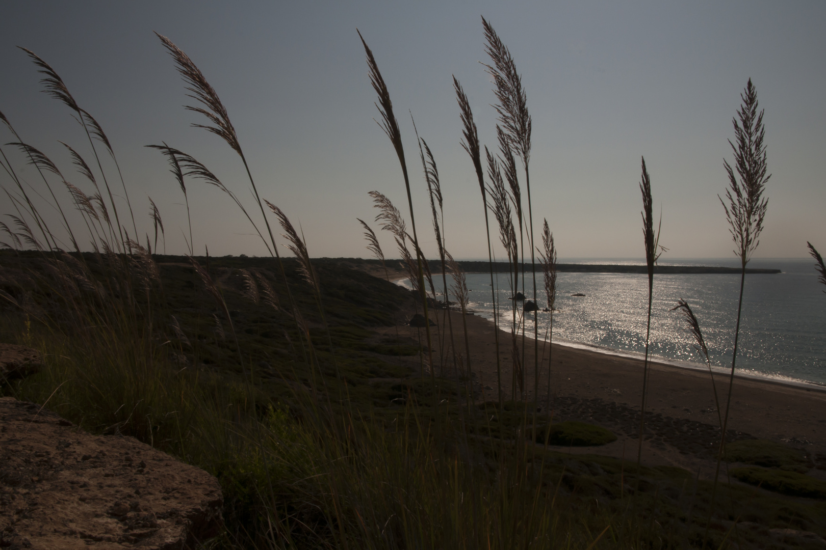 Lara Beach (Cyprus)