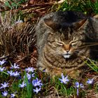 Lara und der Frühling