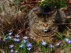 Lara und der Frühling