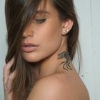 l'araba fenice